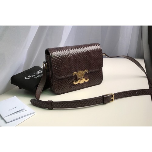 Celine Teen triomphe bag in brown watersnake Leather