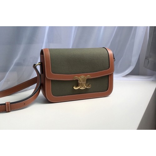 Celine Medium Triomphe Bag in Green Textile and Brown Calfskin
