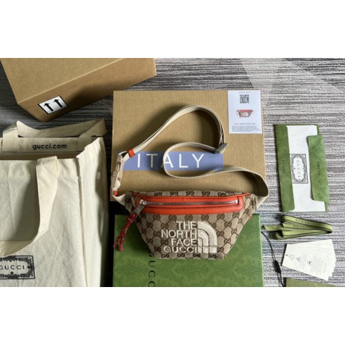 Gucci The North Face x Gucci belt bag in Beige and ebony Original canvas